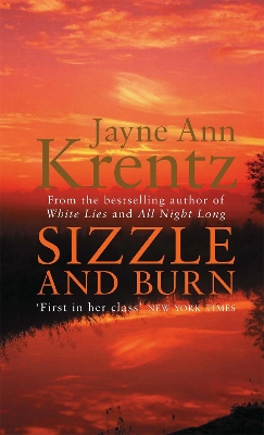 Sizzle And Burn book