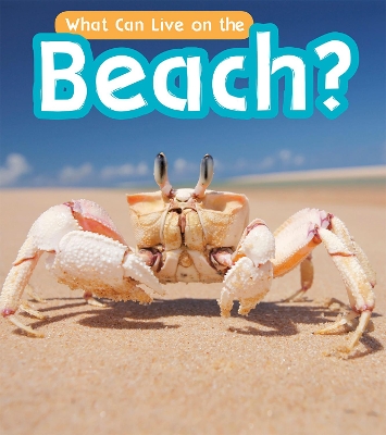 What Can Live at the Beach? book