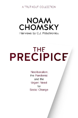 The Precipice: Neoliberalism, the Pandemic and Urgent Need for Radical Change book