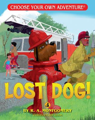 Lost Dog! book