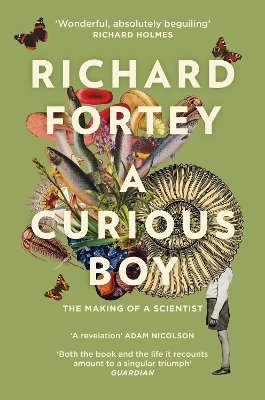 A Curious Boy: The Making of a Scientist book