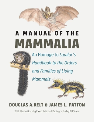 A Manual of the Mammalia: An Homage to Lawlor's 