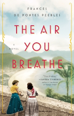 The Air You Breathe: A Novel book