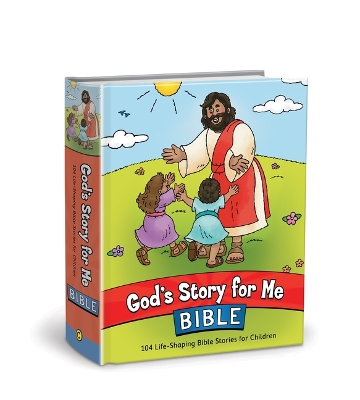 God's Story for Me Bible book