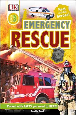 Emergency Rescue by Camilla Gersh