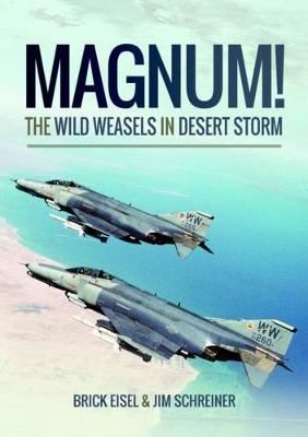 Magnum! The Wild Weasels in Desert Storm book