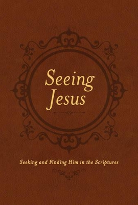 Seeing Jesus book