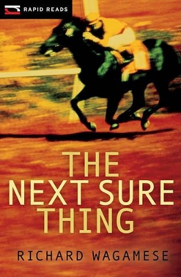 Next Sure Thing book