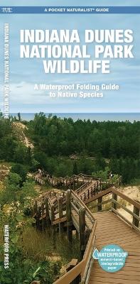 Indiana Dunes National Park Wildlife: A Folding Guide to Native Species book