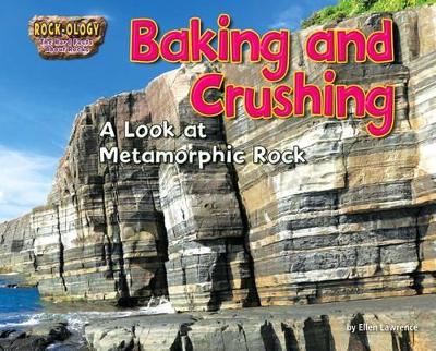 Baking and Crushing book