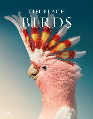 Birds book