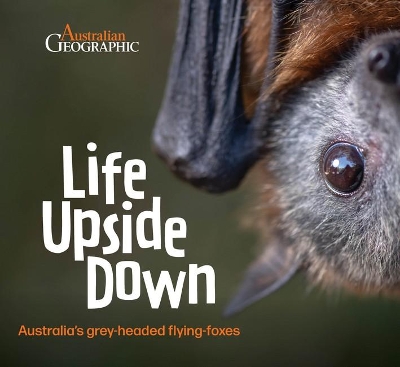 Life Upside Down: Australia'S Grey-Headed Flying-Foxes book
