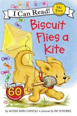 Biscuit Flies A Kite book