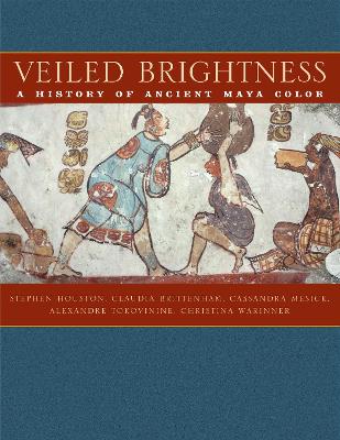 Veiled Brightness book