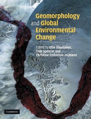 Geomorphology and Global Environmental Change book