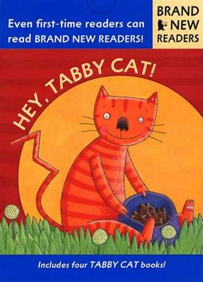 Hey, Tabby Cat! book