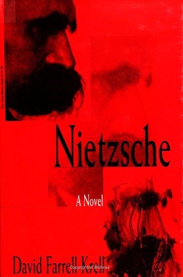 Nietzsche book