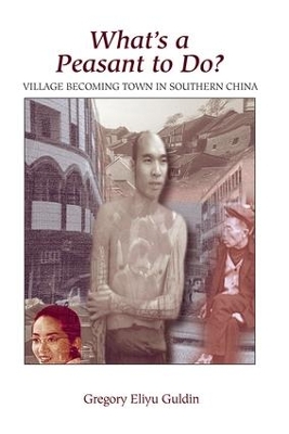 What's A Peasant To Do? Village Becoming Town In Southern China book