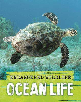 Endangered Wildlife: Rescuing Ocean Life book