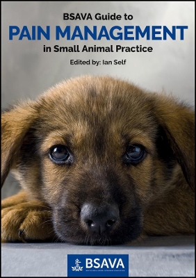 BSAVA Guide to Pain Management in Small Animal Practice book