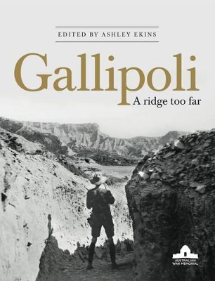 Gallipoli book