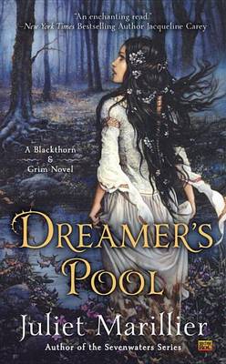 Dreamer's Pool book