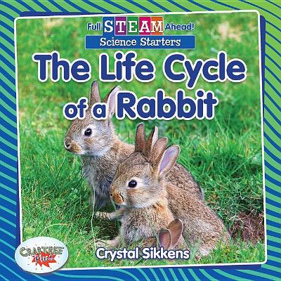 The Life Cycle of a Rabbit book