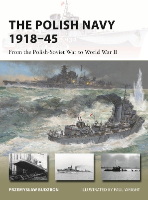 The Polish Navy 1918–45: From the Polish-Soviet War to World War II book