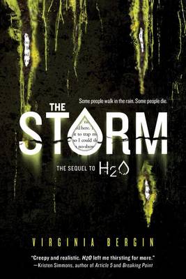 The The Storm by Virginia Bergin