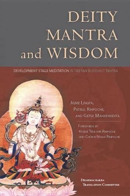 Deity Mantra And Wisdom book