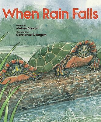 When Rain Falls book