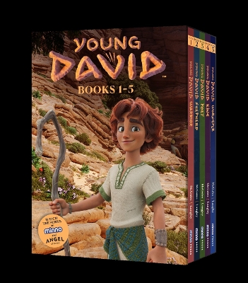 Young David Series Box Set book