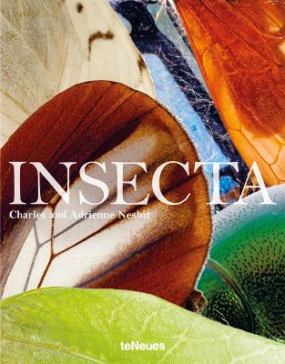 Insecta book