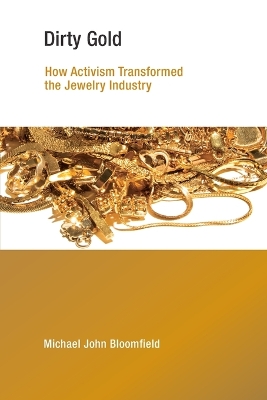 Dirty Gold: How Activism Transformed the Jewelry Industry book