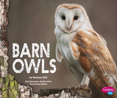Barn Owls by Gail Saunders-Smith