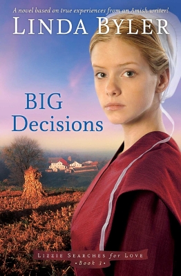 Big Decisions book