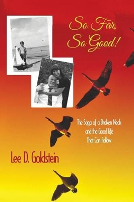 So Far, So Good: The Saga of a Broken Neck and the Good Life That Can Follow book