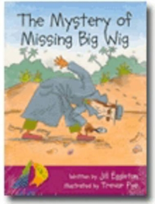 Mystery of Missing Big Wig book