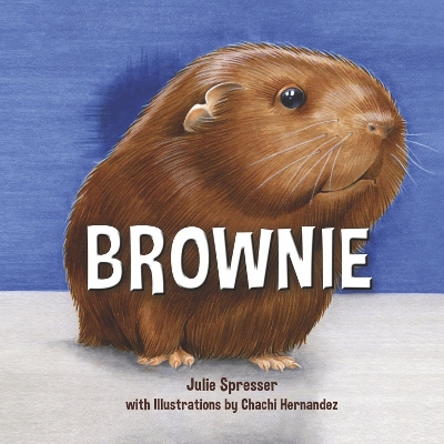 Brownie book