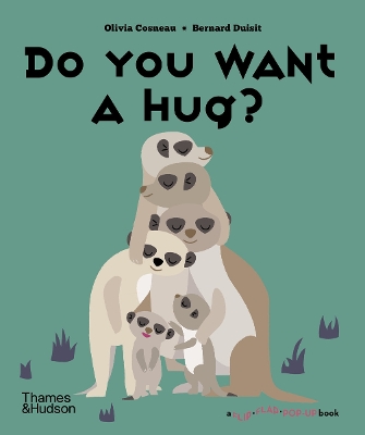 Do You Want a Hug? book