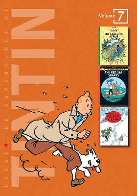 The Adventures of Tintin book