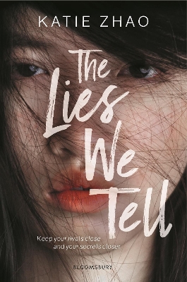 The Lies We Tell book