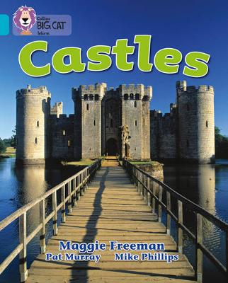 Castles book