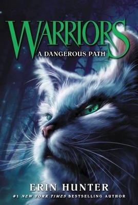 Warriors #5 book