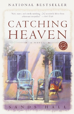 Catching Heaven book