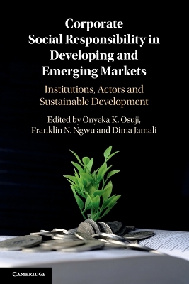 Corporate Social Responsibility in Developing and Emerging Markets: Institutions, Actors and Sustainable Development by Onyeka Osuji