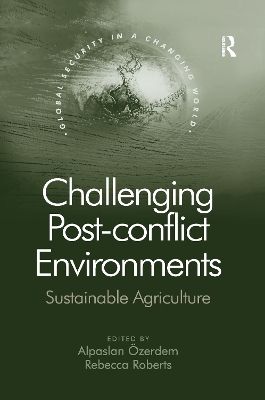 Challenging Post-conflict Environments by Alpaslan Özerdem