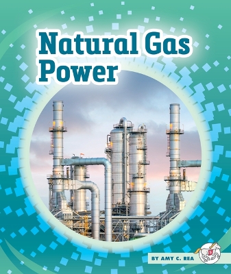 Natural Gas Power book