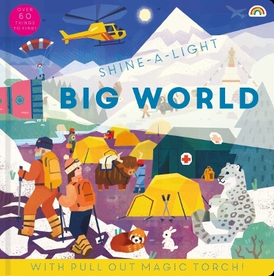 Shine a light - Big World book