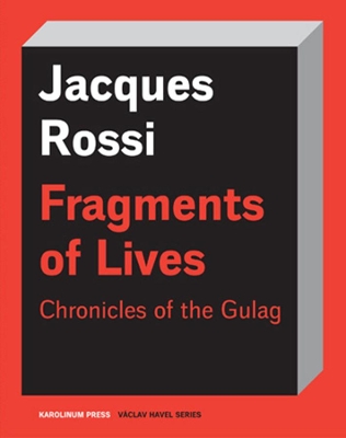 Fragmented Lives book